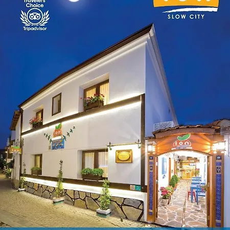 Ion Slow Adult 12 Homestay *
