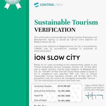 Ion Slow Adult 12