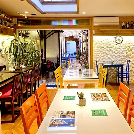 Ion Slow Adult 12 * Siğacık
