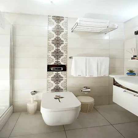 Ion Slow Adult 12 Homestay