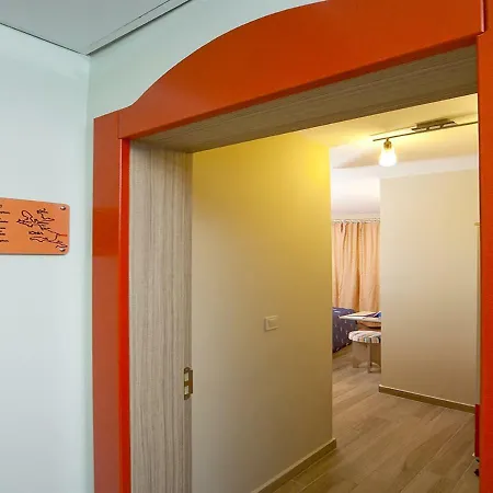 Ion Slow Adult 12 Homestay