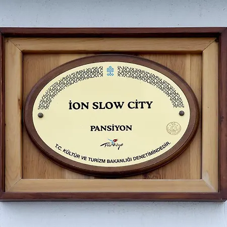 בית אירוח Ion Slow Adult 12