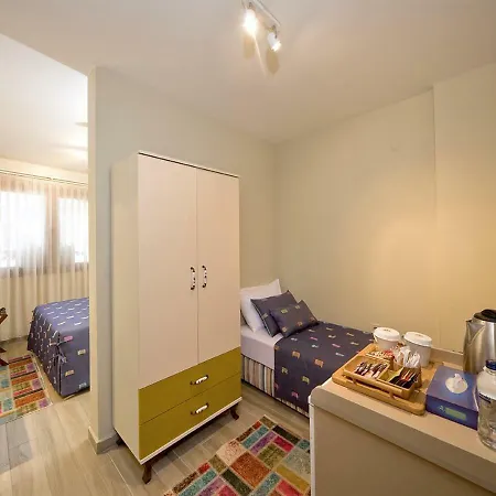 Ion Slow Adult 12 Homestay