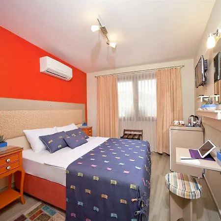 Ion Slow Adult 12 Homestay *