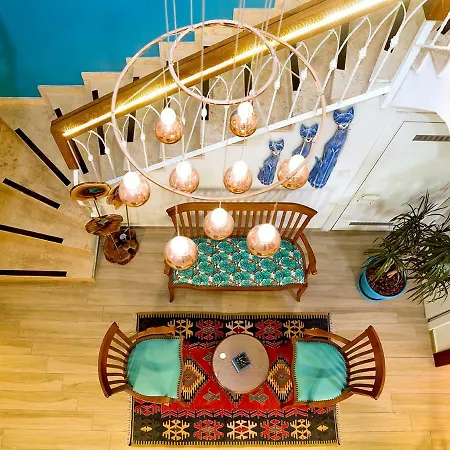 Homestay Ion Slow Adult 12 *
