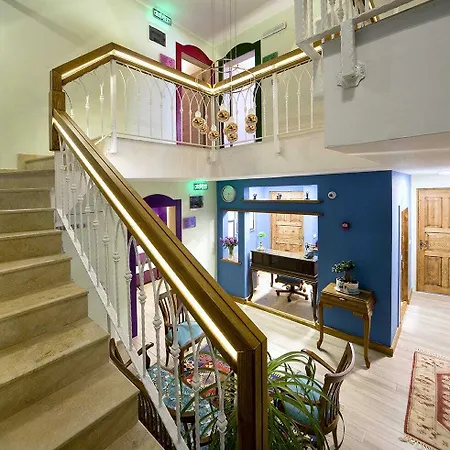 Homestay Ion Slow Adult 12 *
